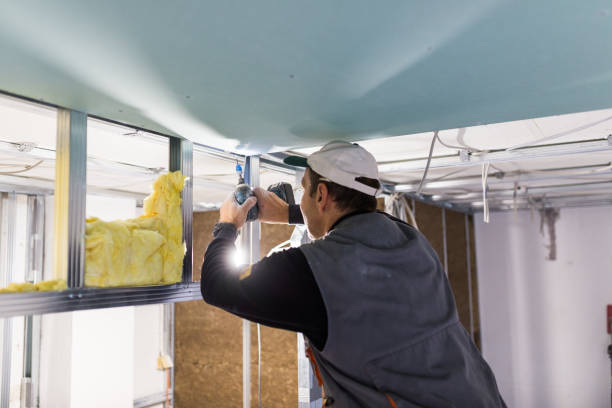 Best Specialized Insulation Services in Shady Shores, TX